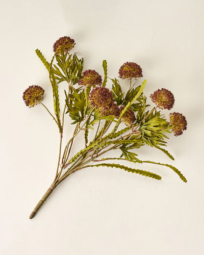 Brown Large Thistle Bush