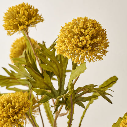 Yellow Large Thistle Bush up close