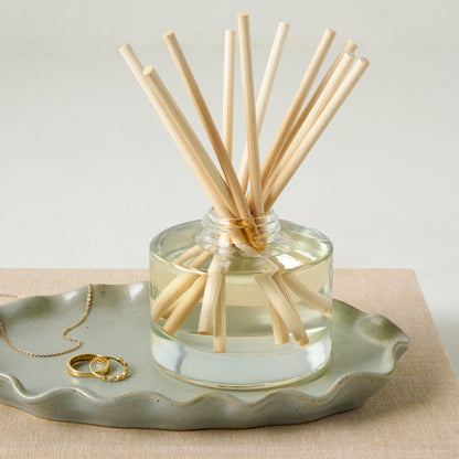 Fresh Start Diffuser shown on dish