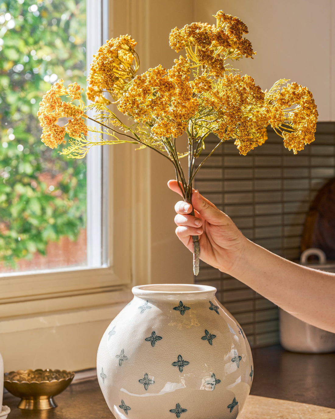 Yellow Queen Anne Lace Bush – Magnolia