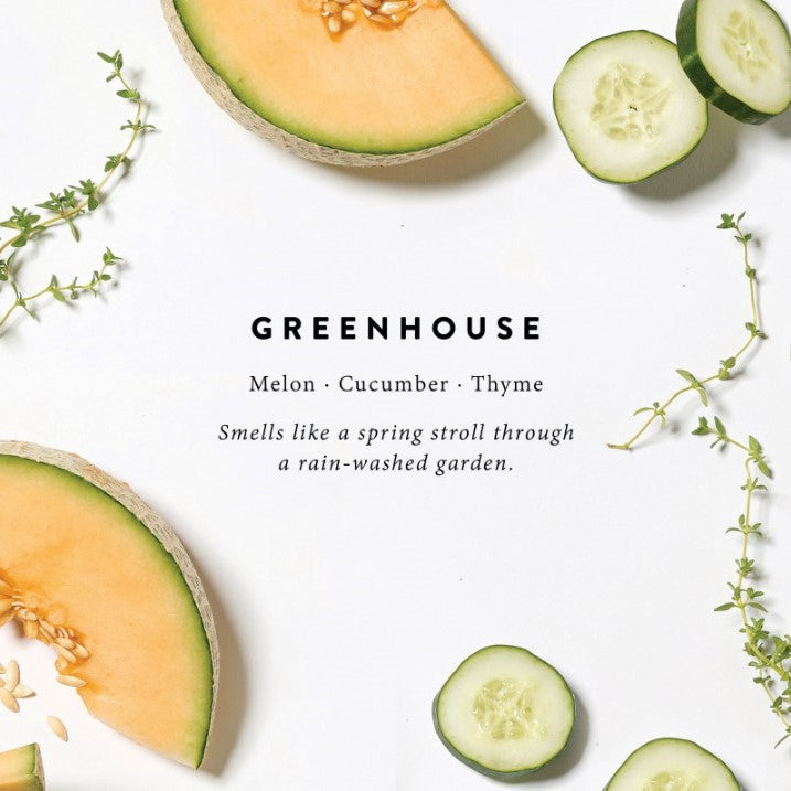 magnolia greenhouse candle scent notes melon cucumber and thyme