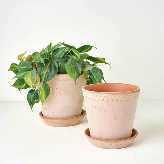 Scalloped Bergs Pot