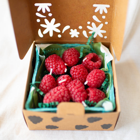 Raspberry Birthday Candle Set of 10 shown in carton from above