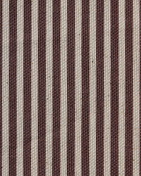 Cappuccino Stripe