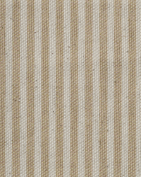 Starfish Stripe