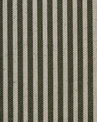 Bronze Green Stripe