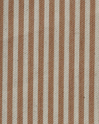 Camel Stripe