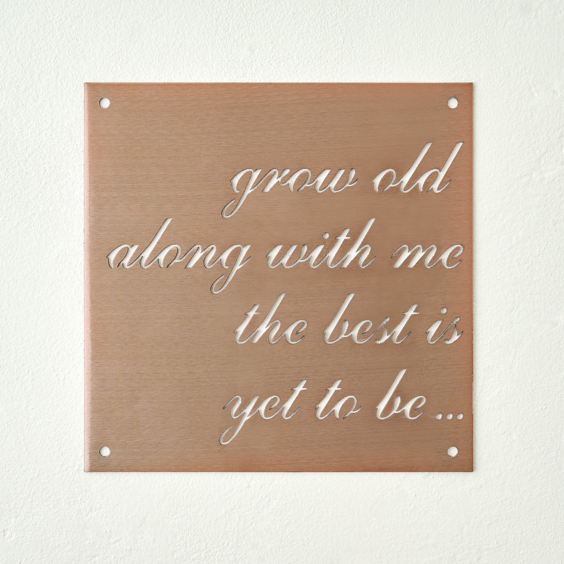 Grow Old Along With Me Sign