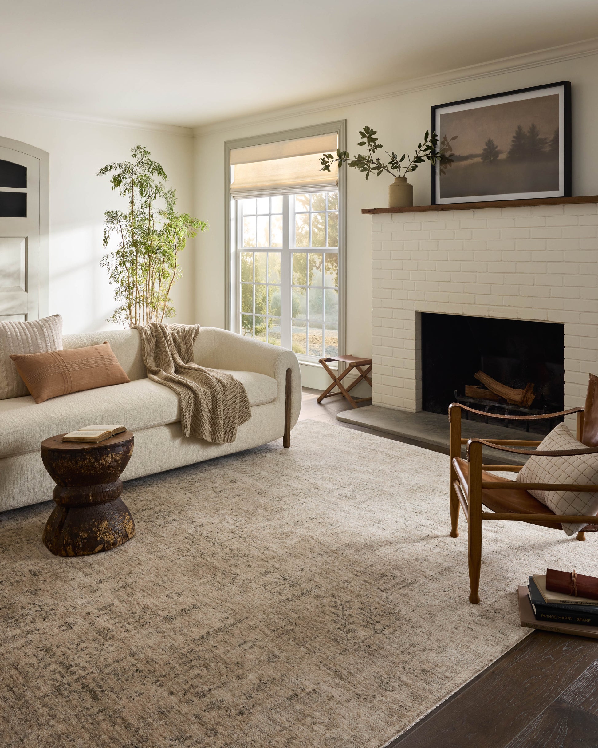 Junie Oatmeal Smoke Rug shown in bright living room