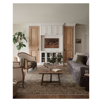 Junie Lagoon Natural Rug shown in bright and airy living room