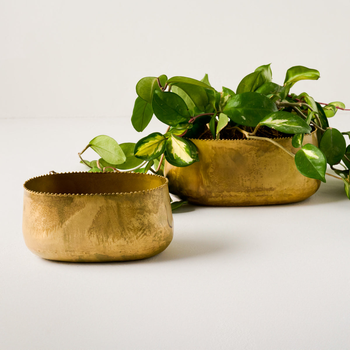 Oval Brass Planters