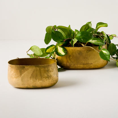 Oval Brass Planters