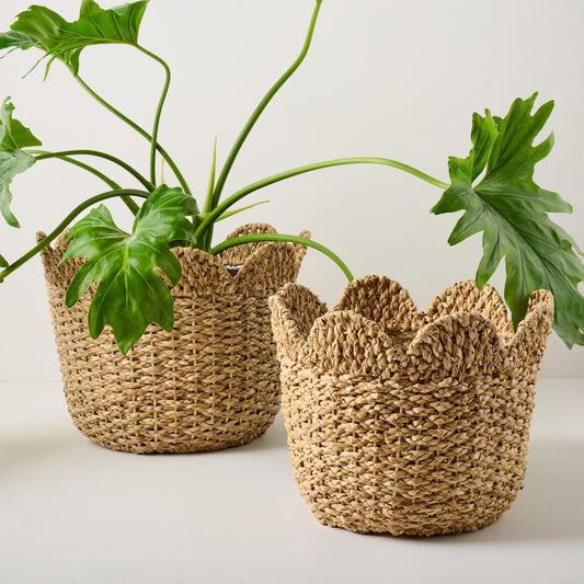 Solene Woven Scalloped Planters