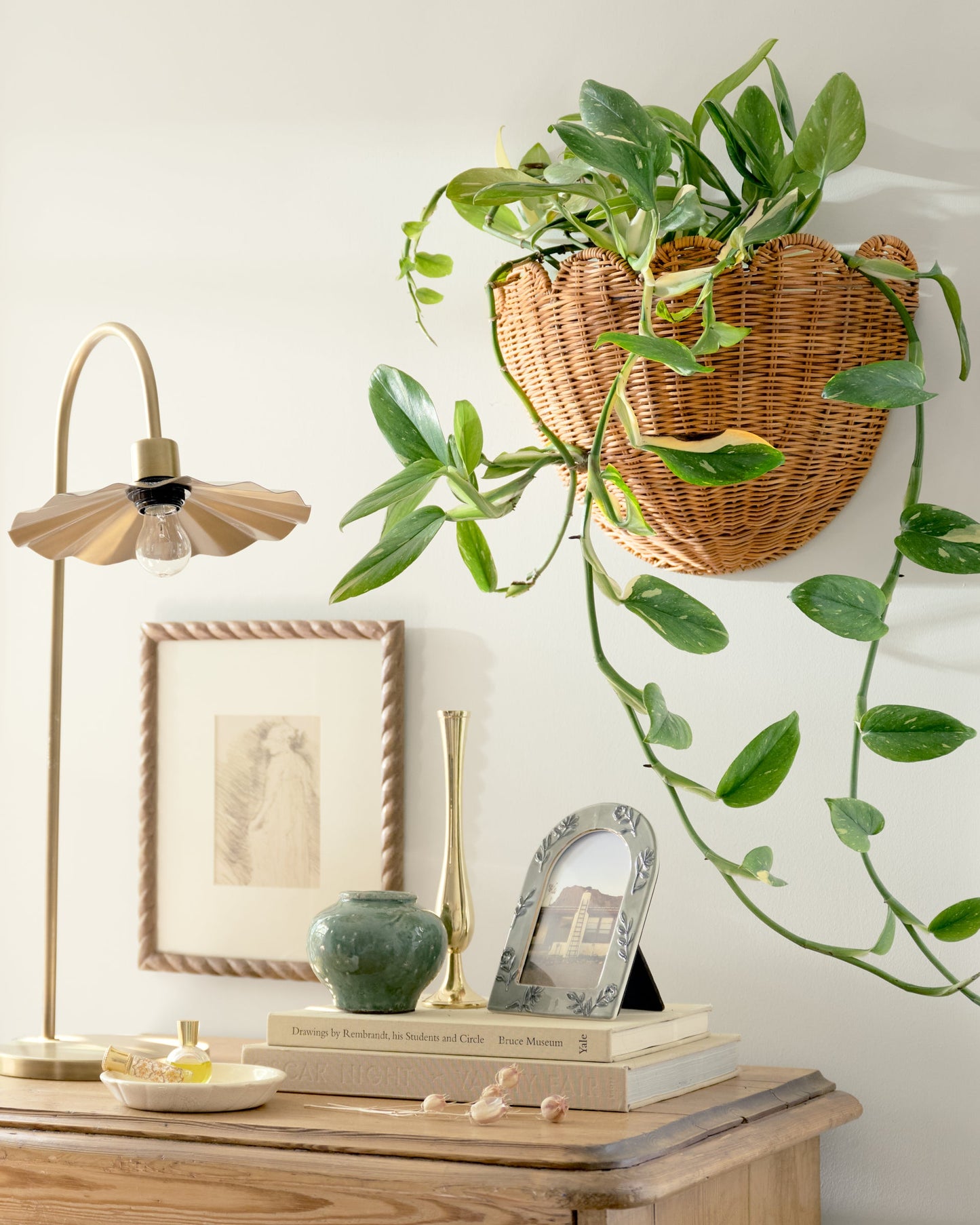 Solene Scalloped Woven Wall Basket shown on wall with plant