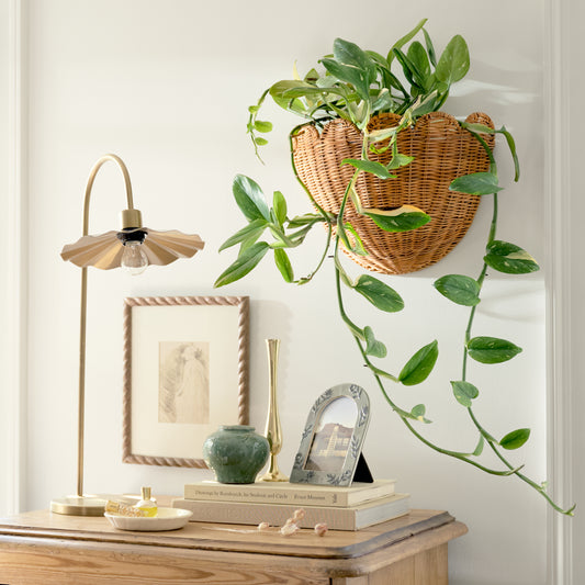 Solene Scalloped Woven Wall Basket shown on wall with plant