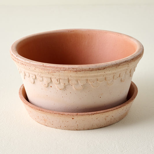 Bergs Københavner Herb Pot & Saucer