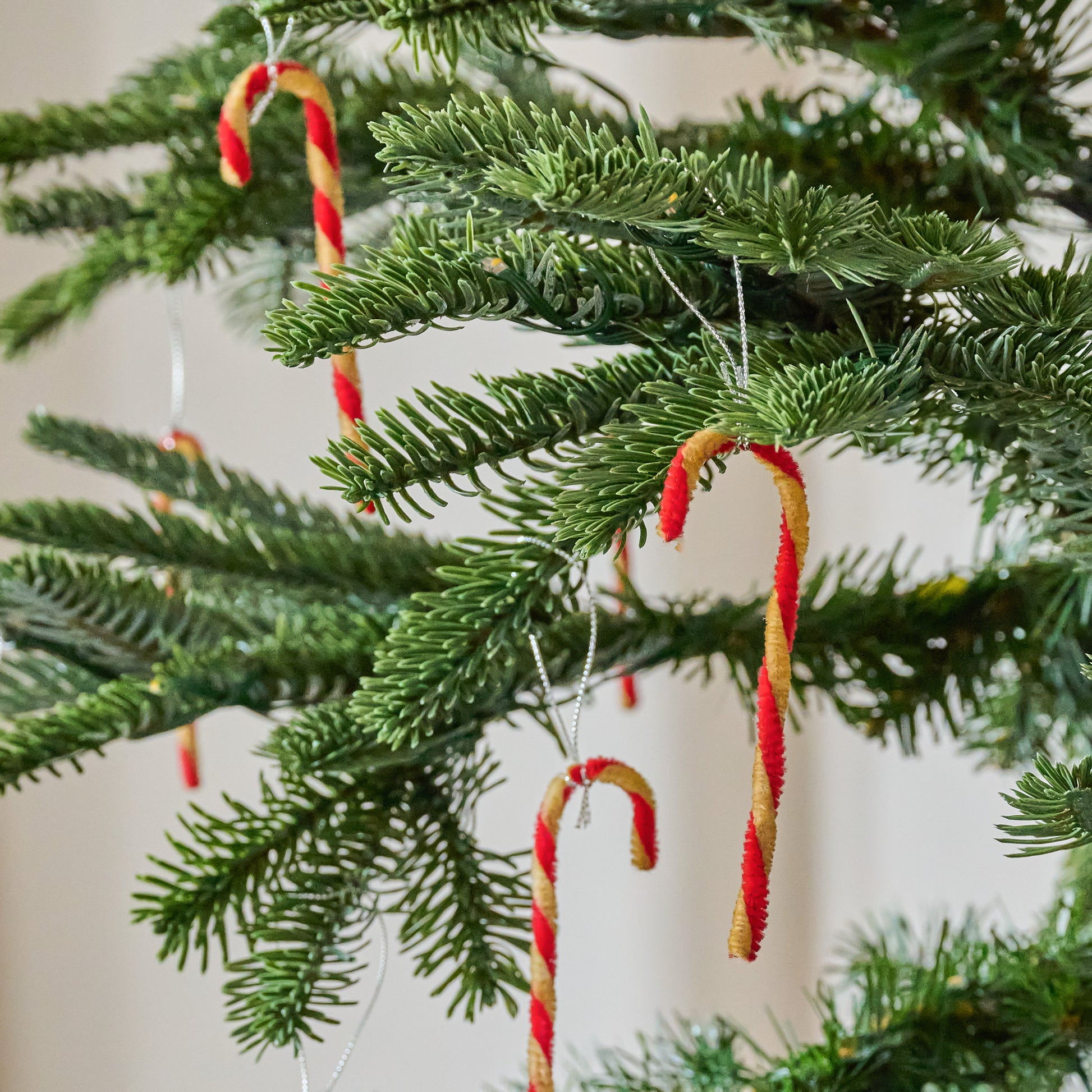 Nostalgic Mini Candy Cane Ornament, Set of 12 shown hung on tree