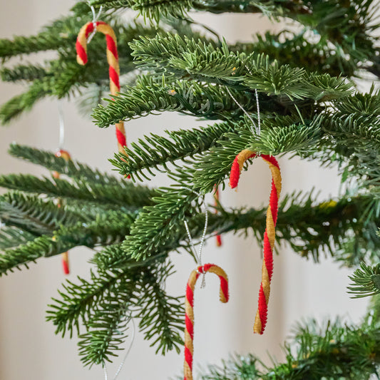 Nostalgic Mini Candy Cane Ornament, Set of 12 shown hung on tree