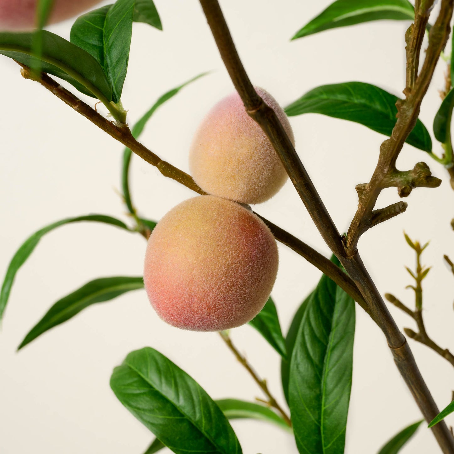 Oversized Peach Stem close up