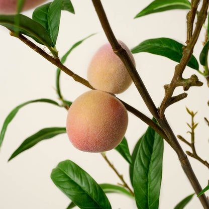 Oversized Peach Stem close up