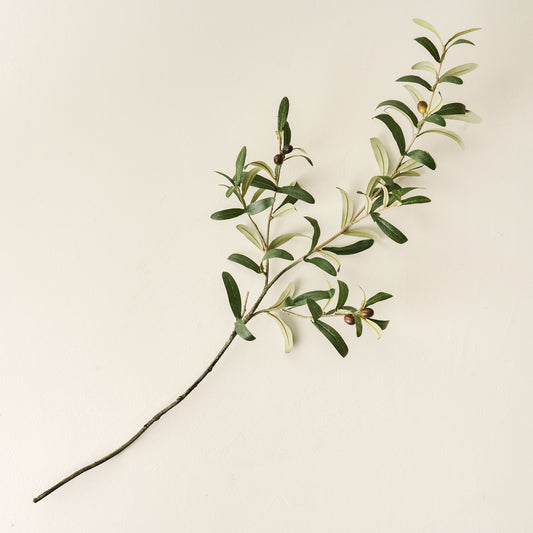 Olive Leaf Stem