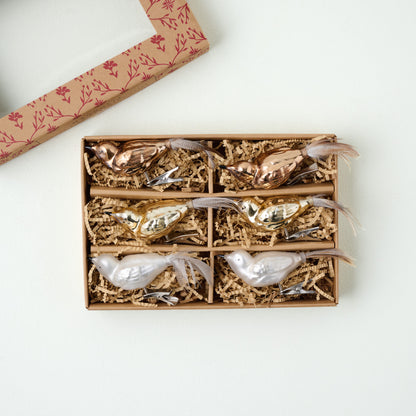 Glass Bird Ornament Clips, Set of 6 shown in box