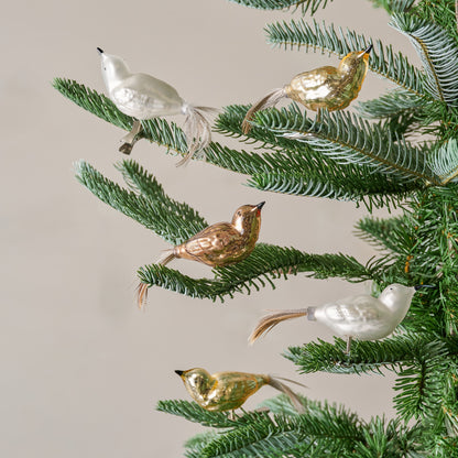 Glass Bird Ornament Clips, Set of 6