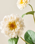 Real Touch Cream Zinnia up close