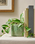 Floral Debossed Bookend shown with potted plant inside