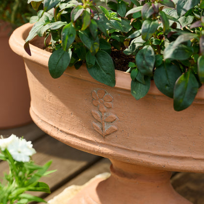 Elongated Floral Terracotta Planter shown up close with plant