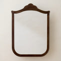 Antiqued Inez Medicine Cabinet in Coffee