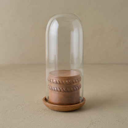 Glass Cloche with Wood Base with Riser