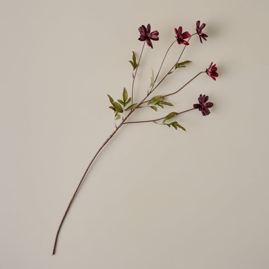 Burgundy Cosmos Stem