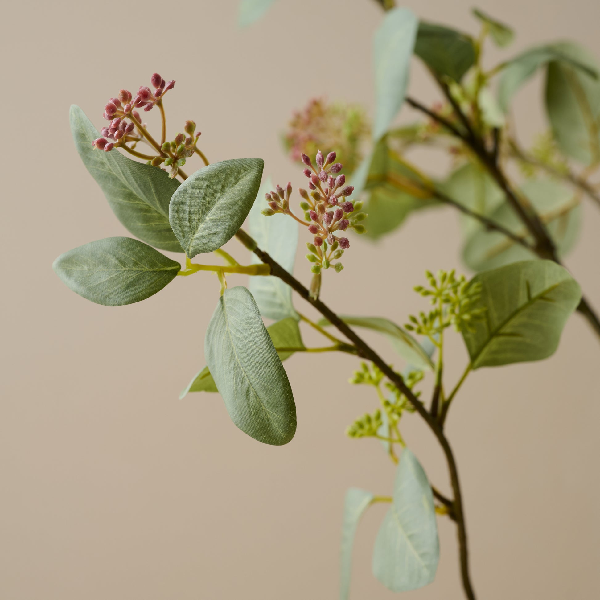 Oversized Eucalyptus Berry Branch up close