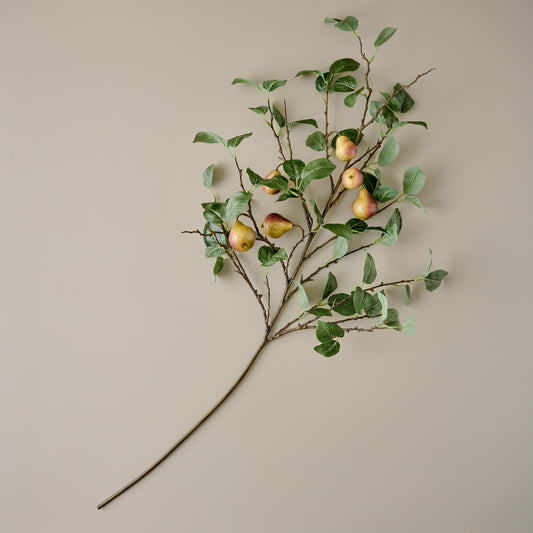 Oversized Autumnal Pear Stem