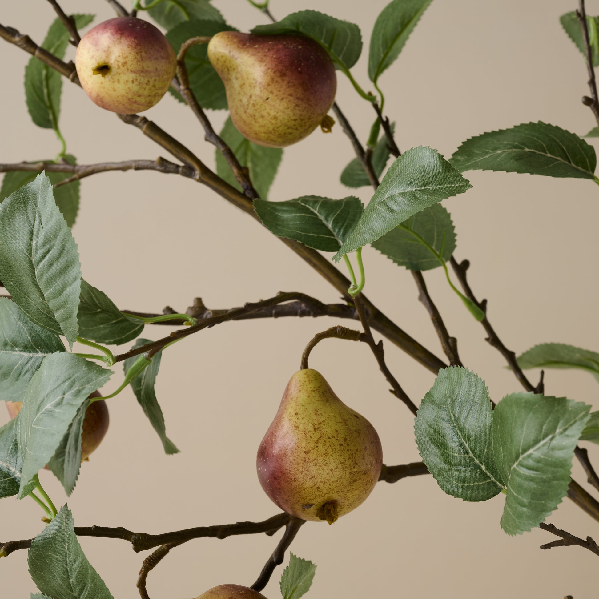 Oversized Autumnal Pear Stem up close