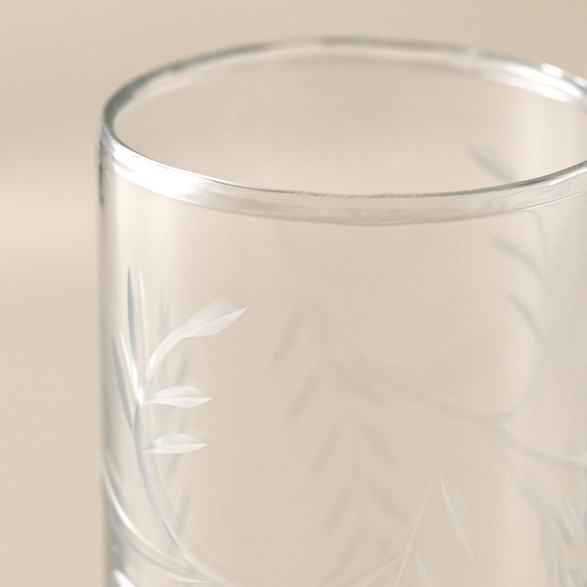 Tall Marlowe Etched Glass Tumbler Up close