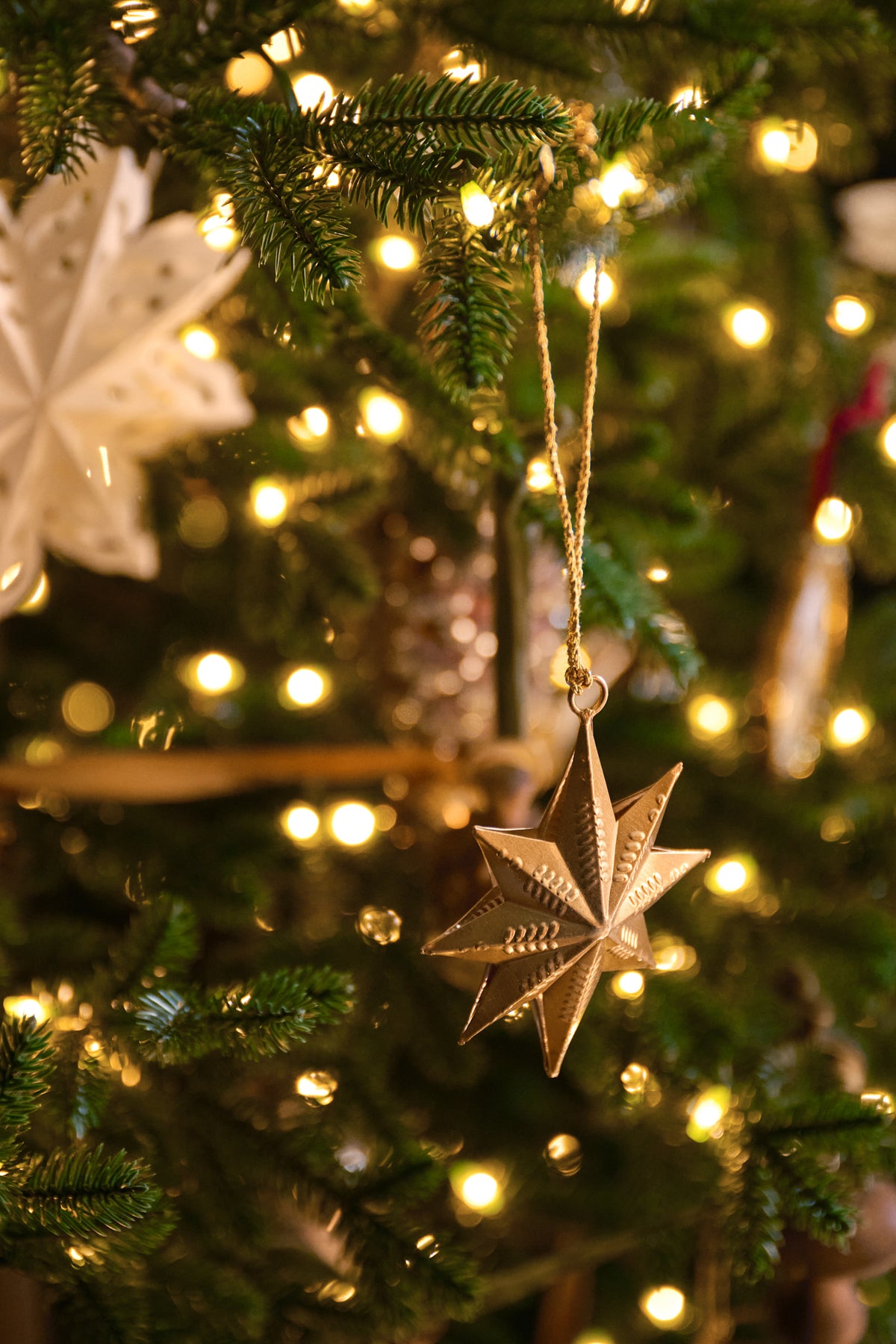 Celestial Star Ornaments, Set of 12 on a tree