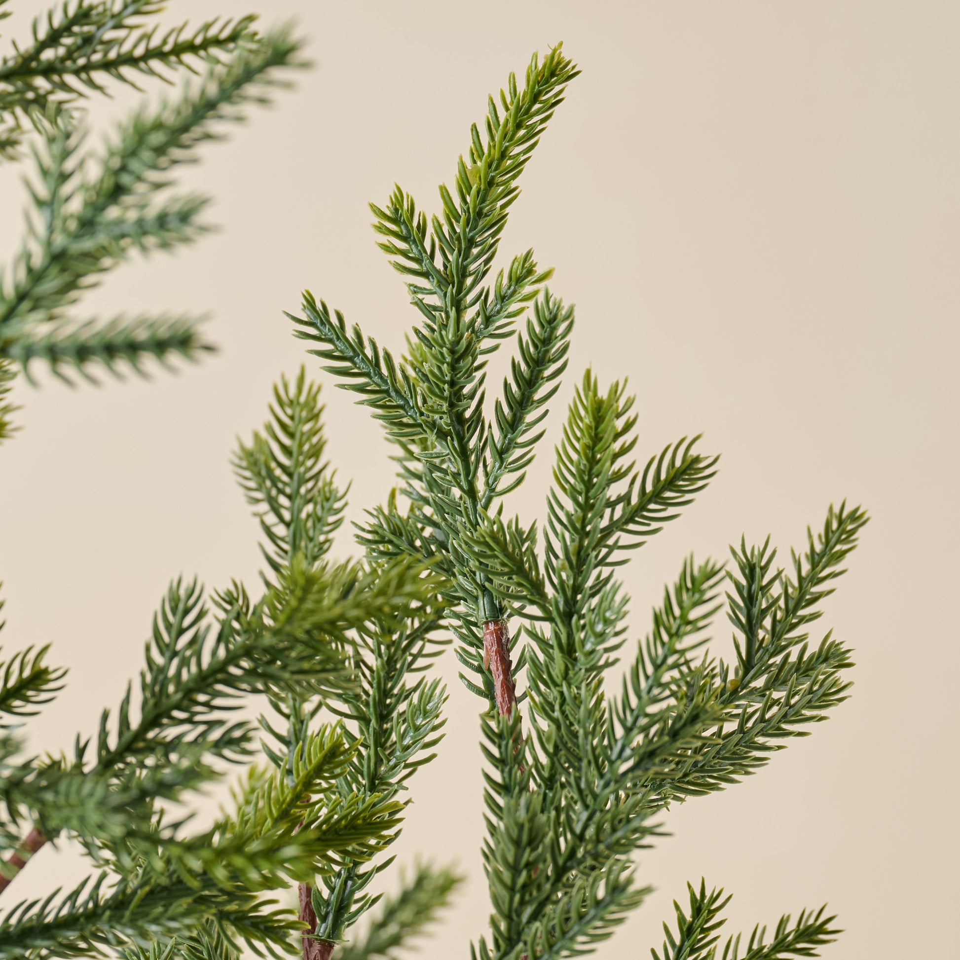 Real Touch Oversized Evergreen Pine Stem up close