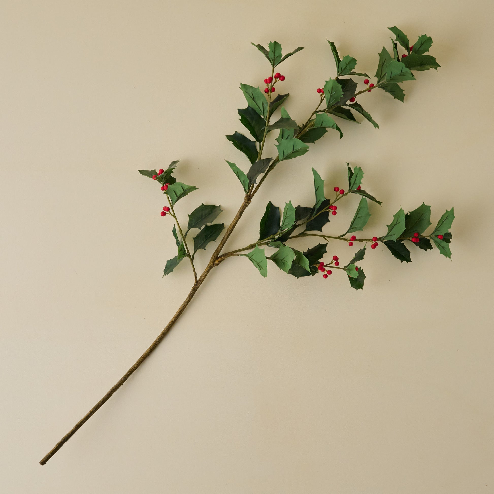 Oversized Holly Branch