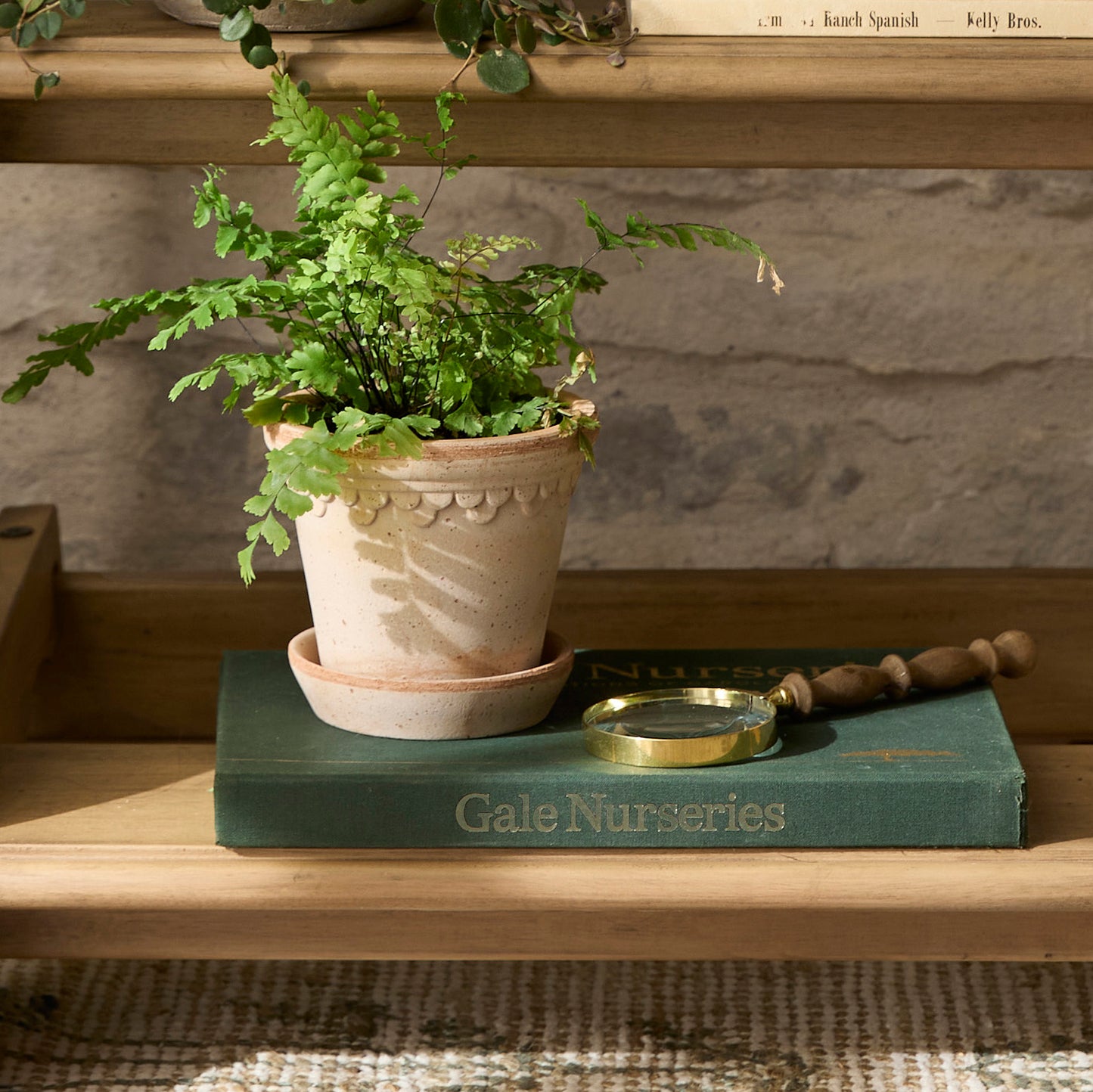 Decorative Wood Magnifying Glass on top of coffee table book next to planter
