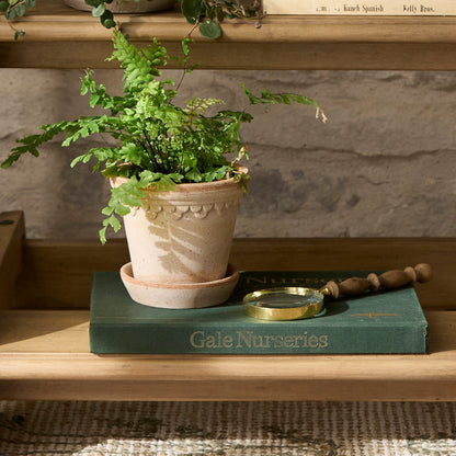 Decorative Wood Magnifying Glass on top of coffee table book next to planter