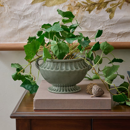 Jo's Vintage Inspired Pedestal Vase paired with greenery on top of decorative books