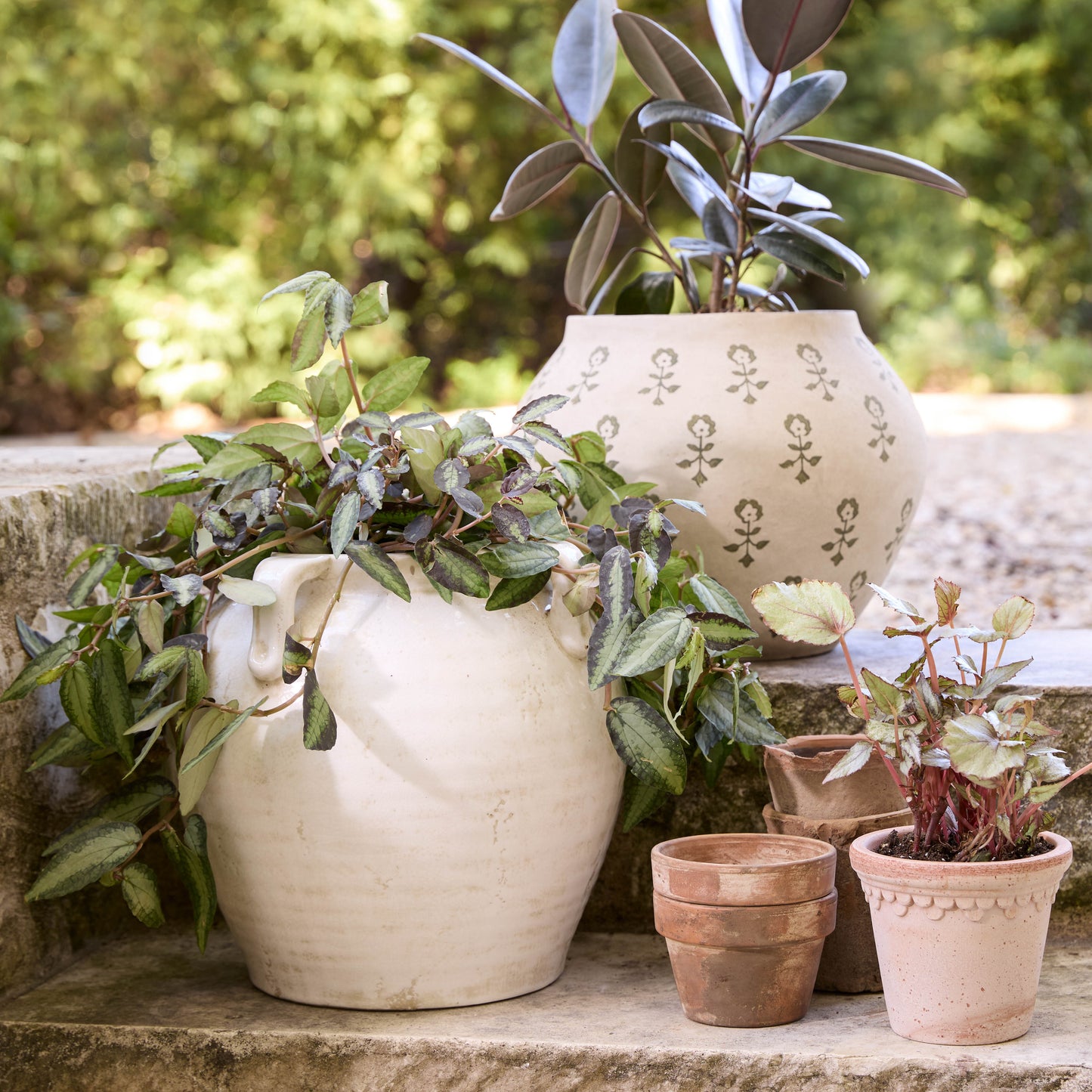 Oversized Crackle Hugo Vase with potted plants outside on steps
