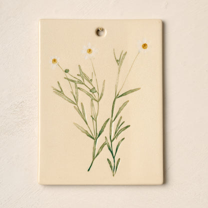 Jo's Herbarium Ceramic Wall Plaque - Collected Daisies