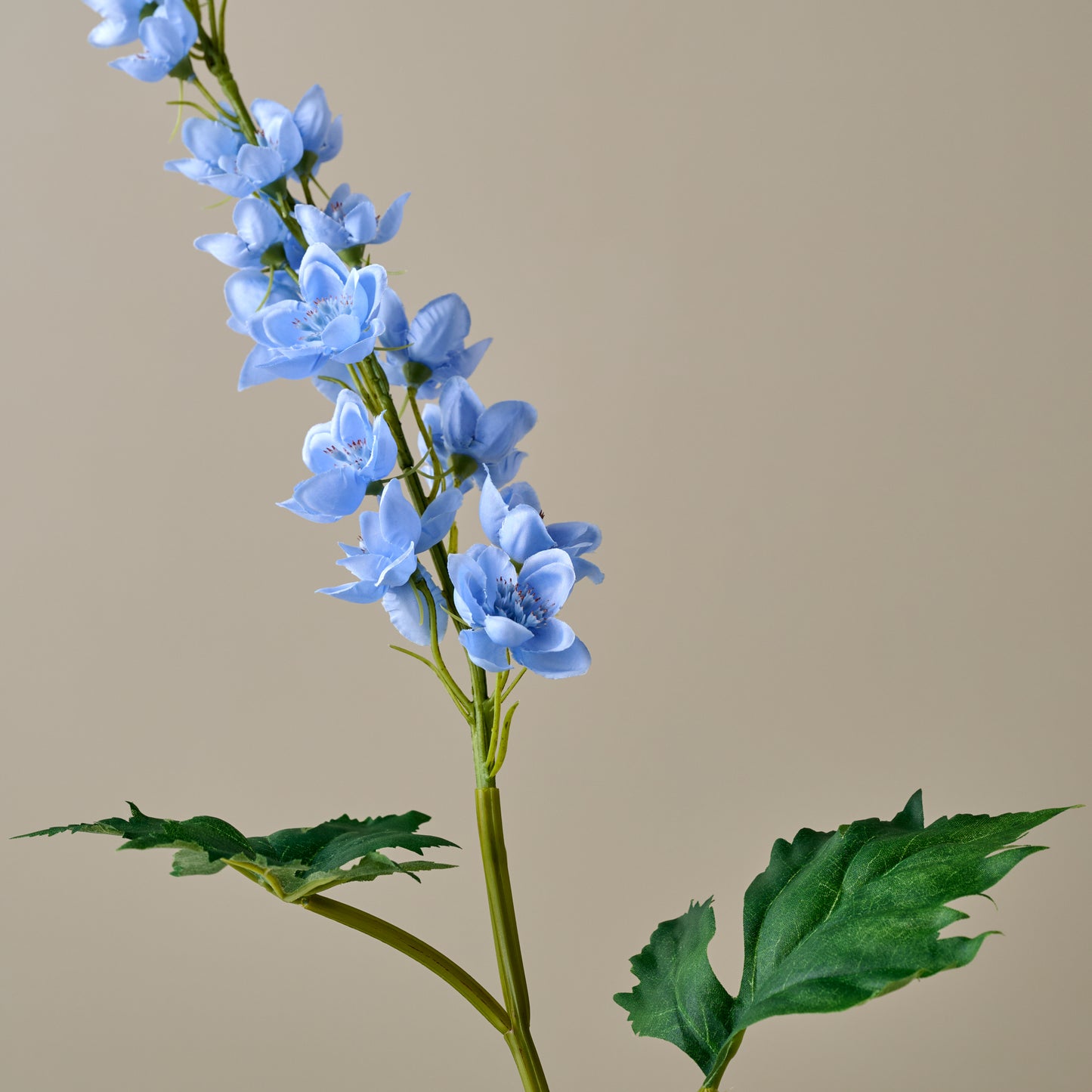 Larkspur Stem (Blue) close up view