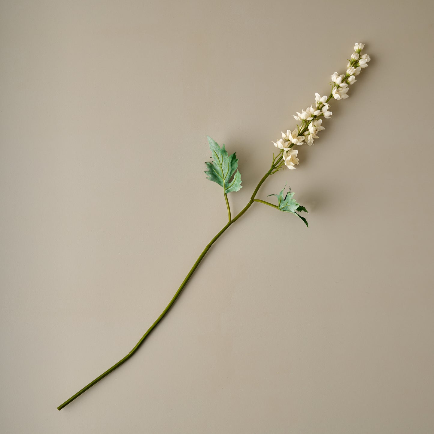 Larkspur Stem (Cream)