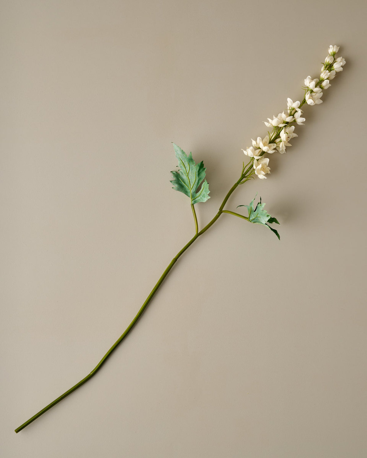 Larkspur Stem (Cream)