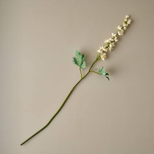 Larkspur Stem (Cream)
