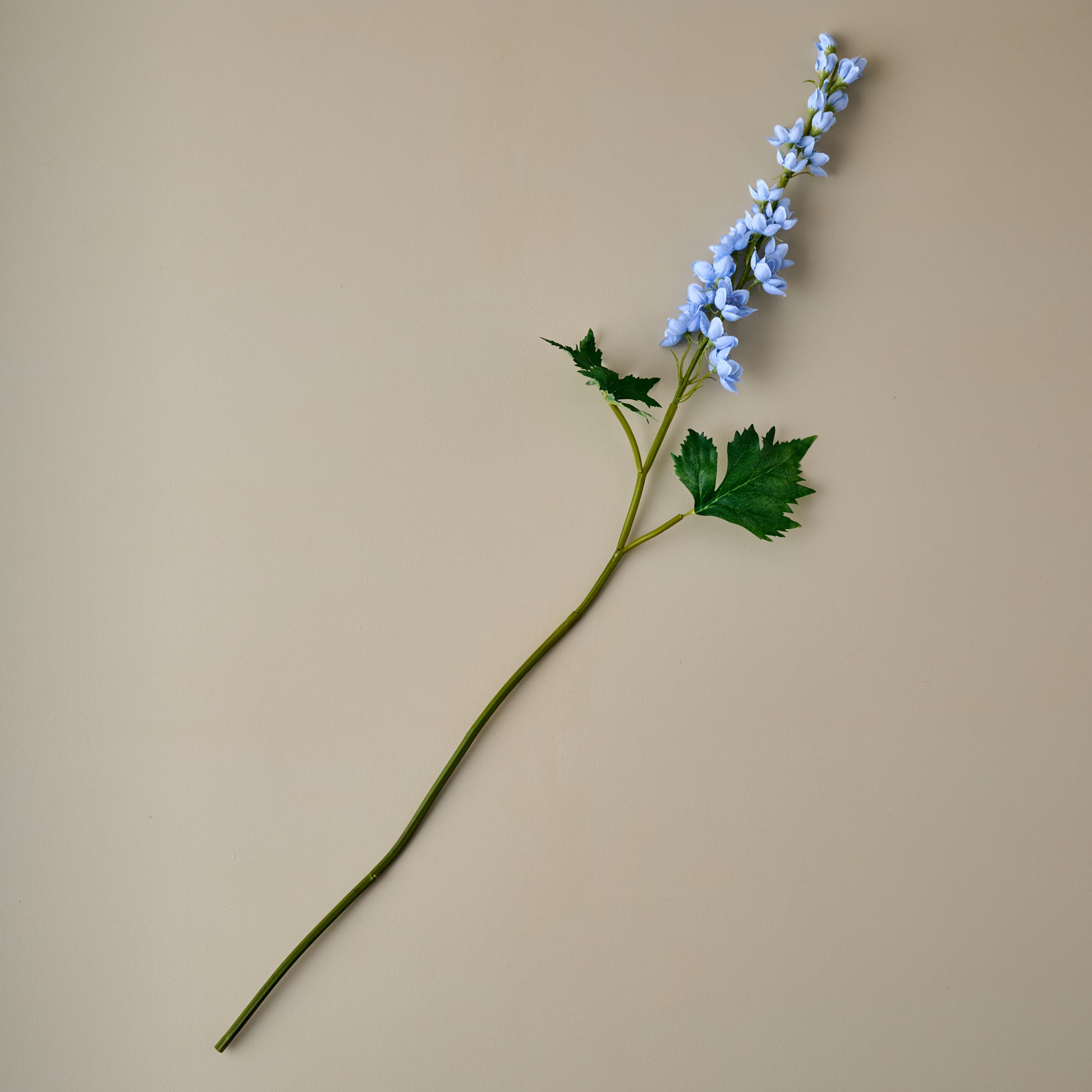 Larkspur Stem (Blue)